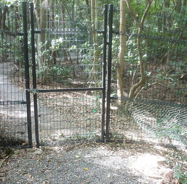 上御井神社へ通じる参道は鉄柵で遮られており、それ以上、通行ができません